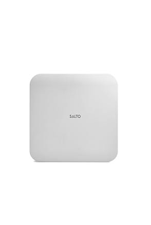 KS-IQ